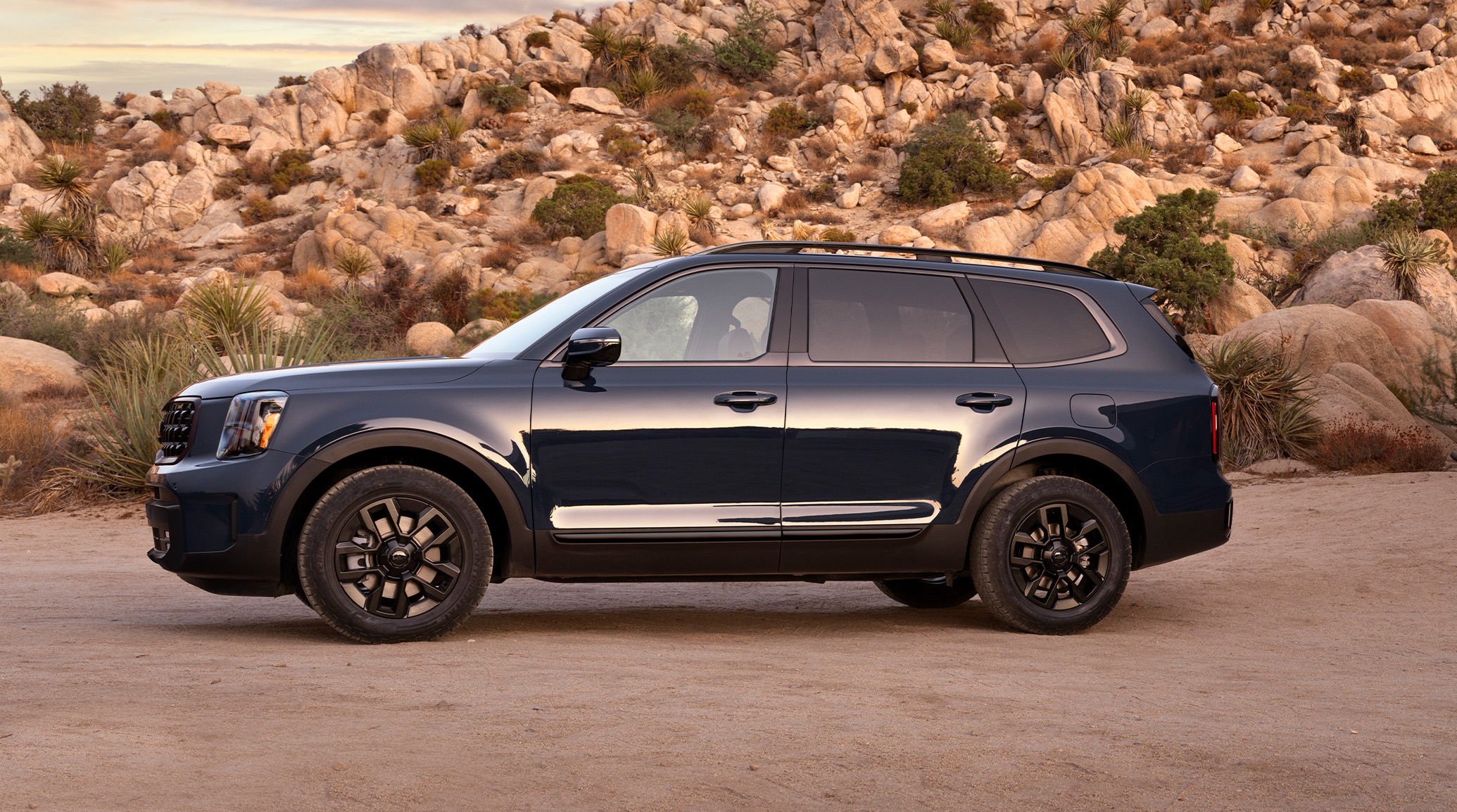 A dark blue 2025 Kia Telluride is shown from the side.